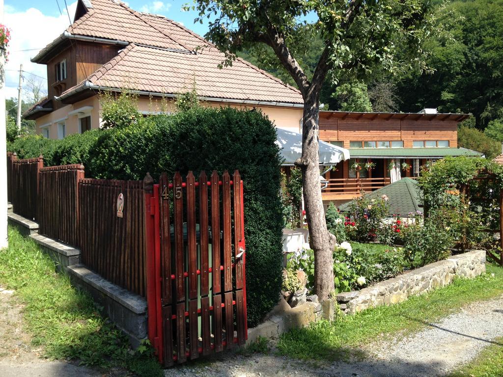 Casa Katona Daire Sovata Dış mekan fotoğraf